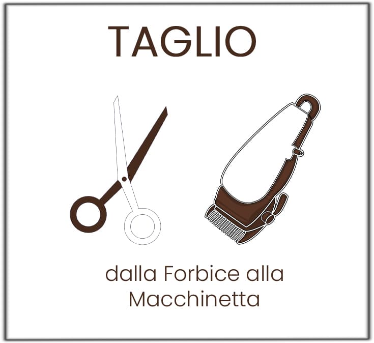 Il Taglio, dalla forbice alla macchinetta